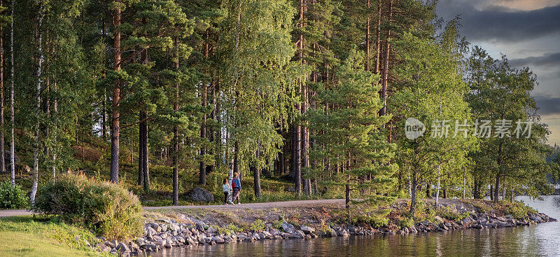 夏天的风景。夕阳下的森林和树木，一个大湖岸边的散步小径。