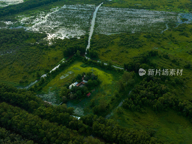 龙安省朗森湿地保护区，世界湿地之一