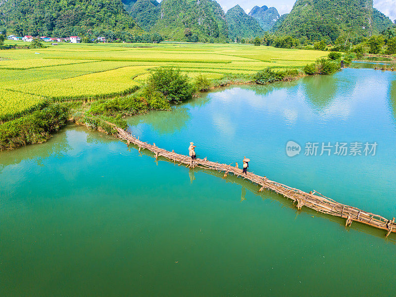 在越南曹邦省，风南山谷的空中景观，农民携带水稻回家，河流，自然，绿色的稻田