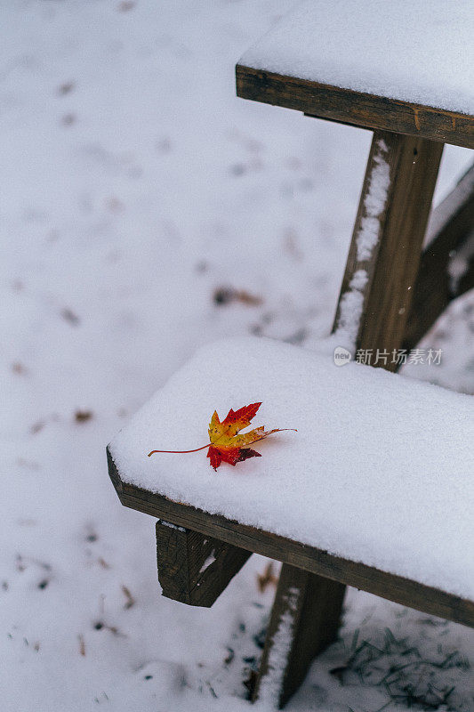 红色的秋叶落在刚刚落下的雪上，空无一人的公园长凳上