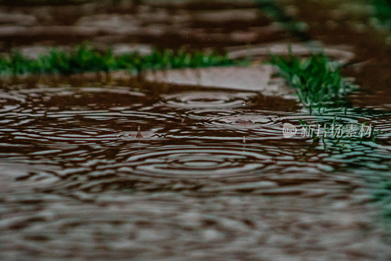 水坑里的近距离雨水