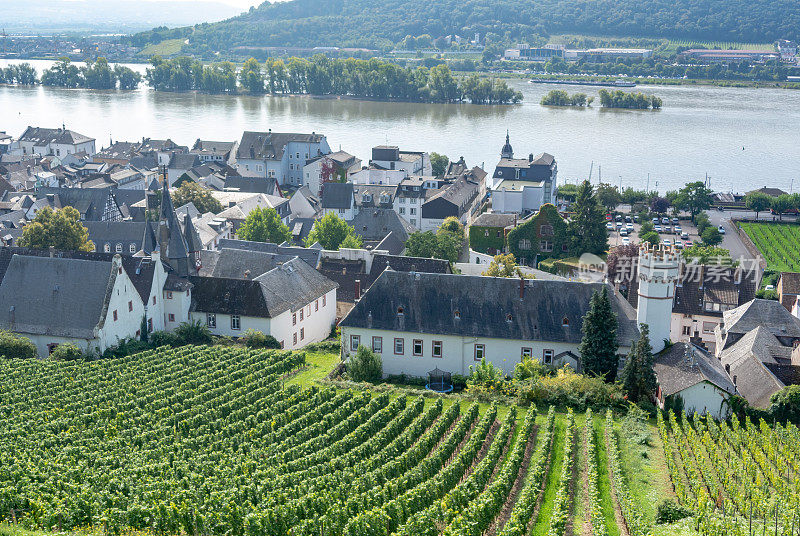 葡萄园在低森林纪念碑纪念碑Rüdesheim，德国