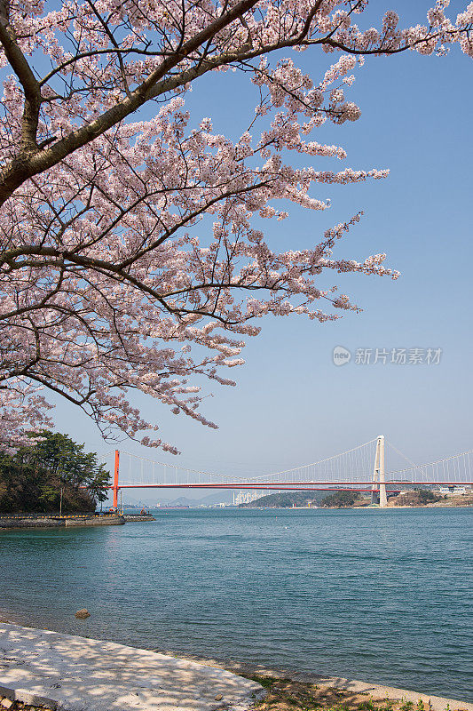 韩国南海大桥