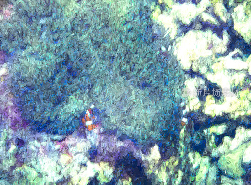 海葵中的小丑鱼