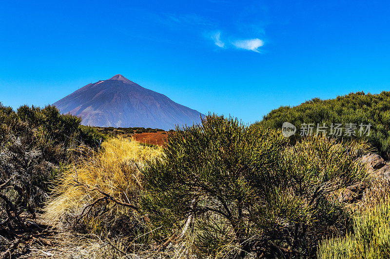 Teide山景观，Teide火山和Teide国家公园的熔岩风景-特内里费，西班牙