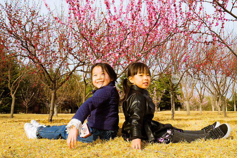 两个年轻的女孩坐在草地上