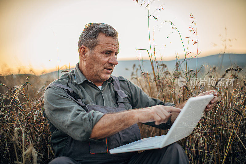一位老年农民正在使用笔记本电脑