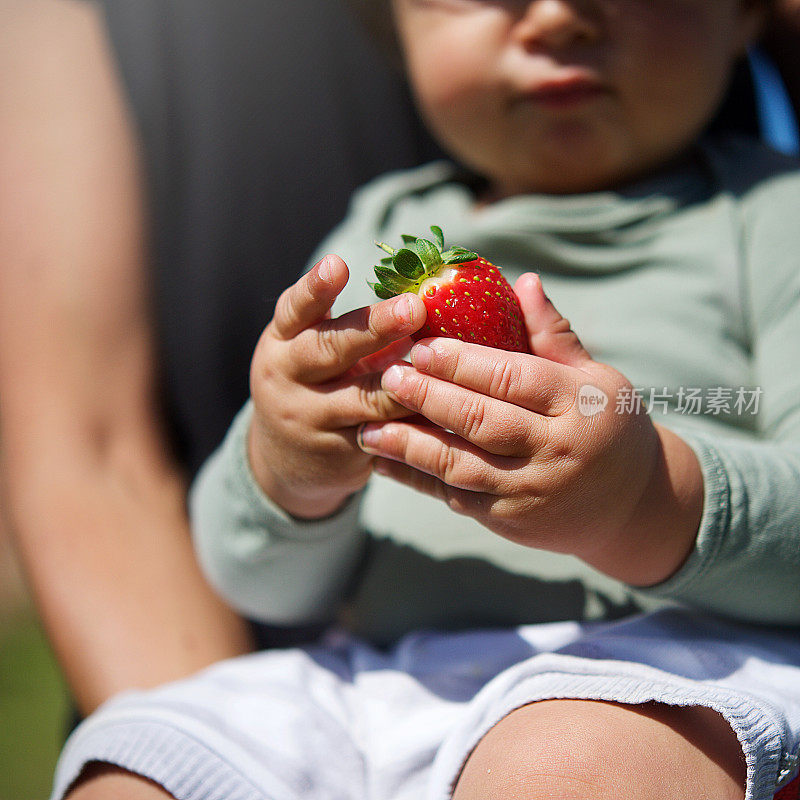 婴儿抱着草莓，有一种探索的感觉