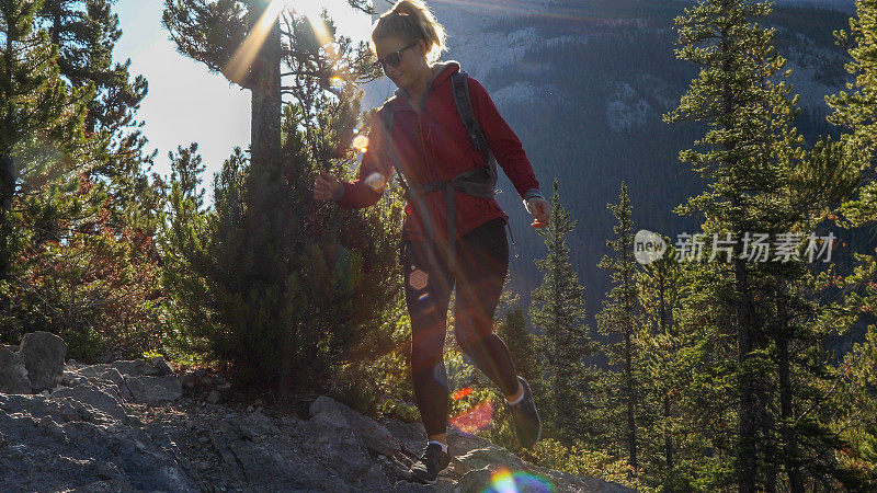 年轻的女性徒步旅行者穿过森林爬山