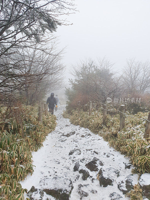 济州岛冬季步道