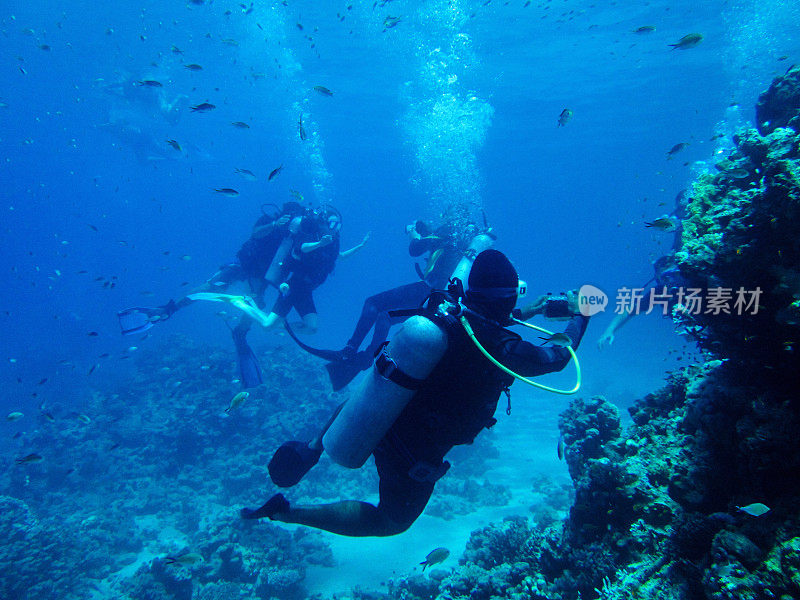 水下景观红海与潜水员