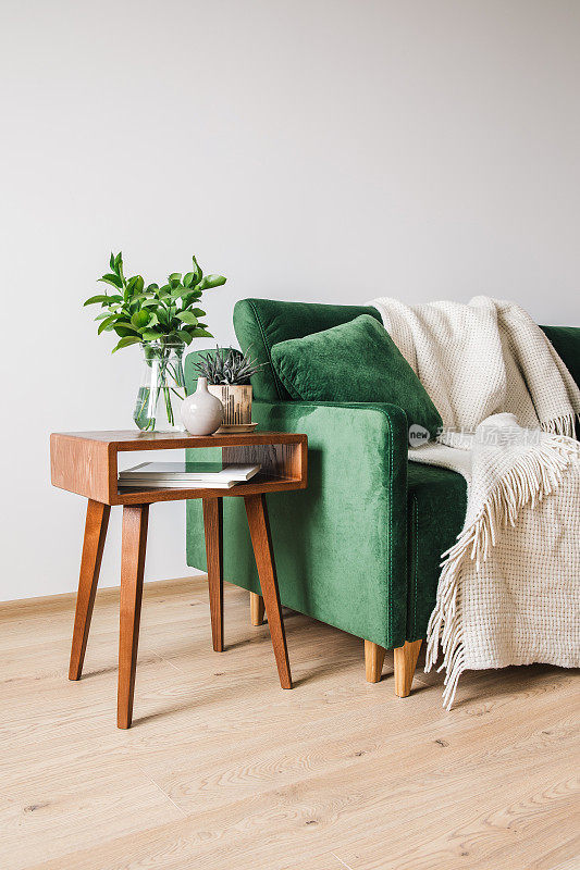 带枕头和毯子的绿色沙发，旁边是带植物的木质咖啡桌