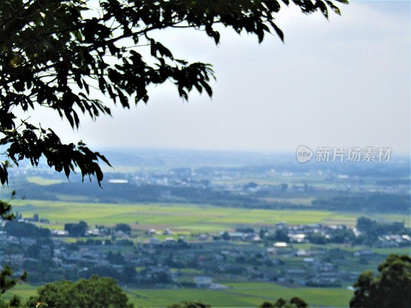 日本。8月。大自然的窗口。茨城县筑波高地的一个小山的全景。