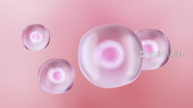 人类细胞或胚胎干细胞