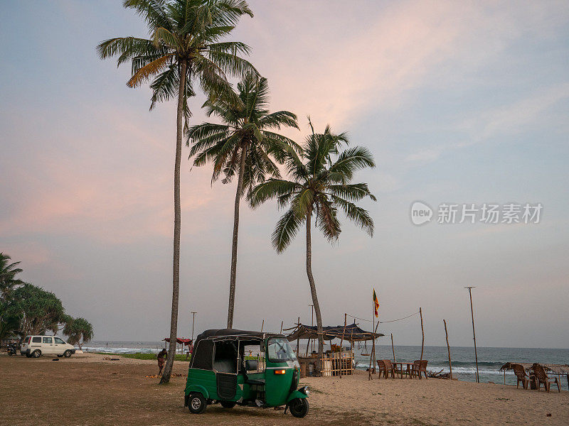 斯里兰卡海滩旁的棕榈树下的人力车