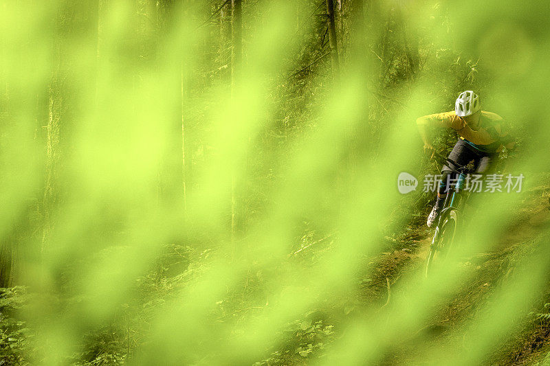 透过郁郁葱葱的树叶观赏山地自行车穿越森林