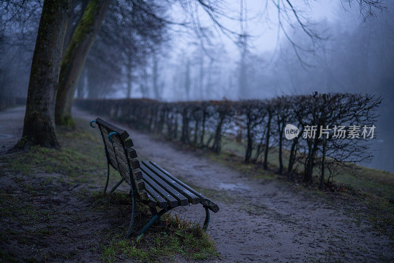 晨曦中空荡荡的长凳俯瞰着雾蒙蒙的湖面，林中的树木笼罩着阴沉的雾气