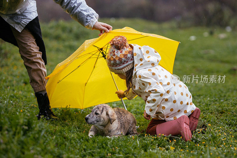 小女孩和妈妈在雨天给小狗雨伞