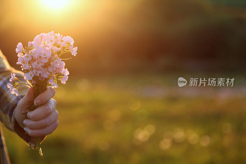 女性手中捧着一束鲜花