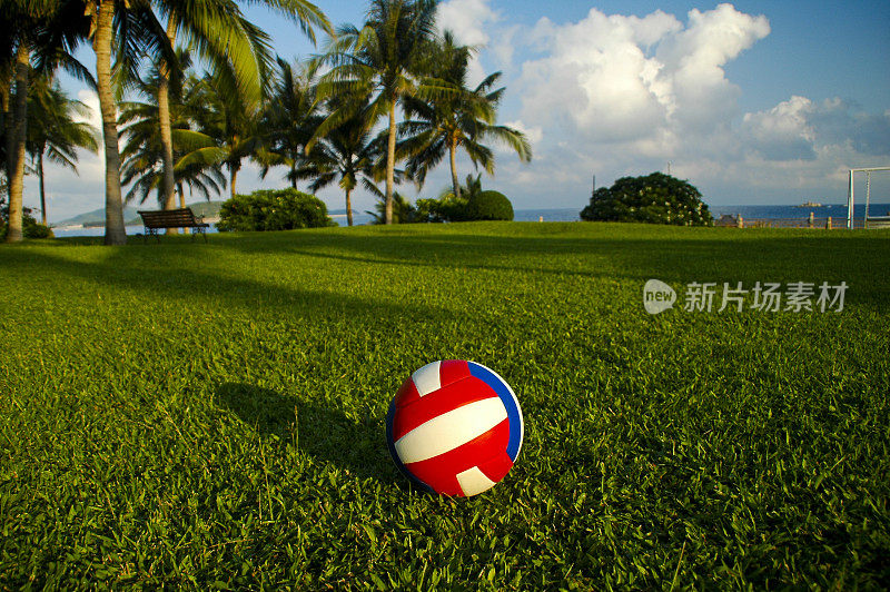 排球在草坪上