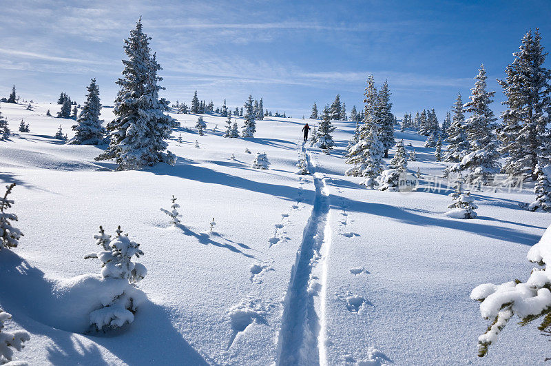 滑雪者在新雪山上滑雪旅游