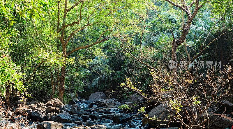 印度果阿丛林的山河全景