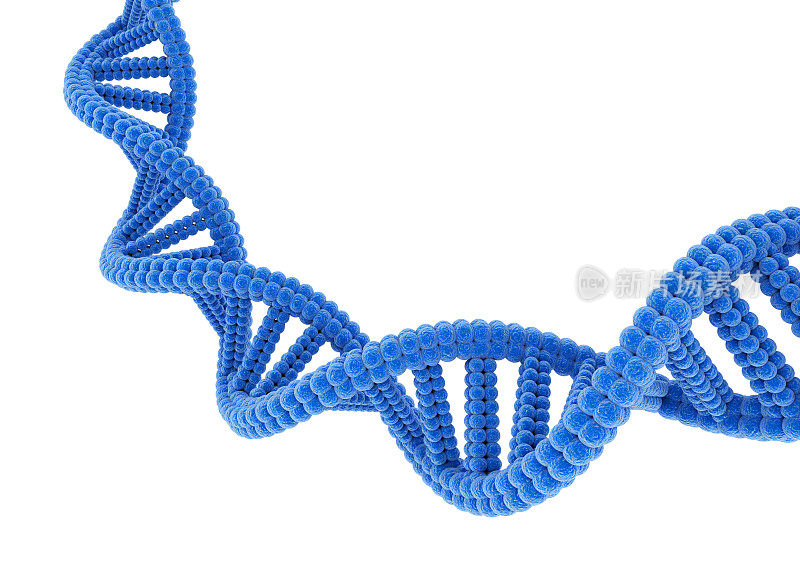 蓝色DNA