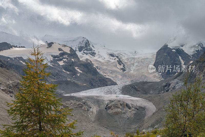 瑞士阿尔卑斯山和冰川