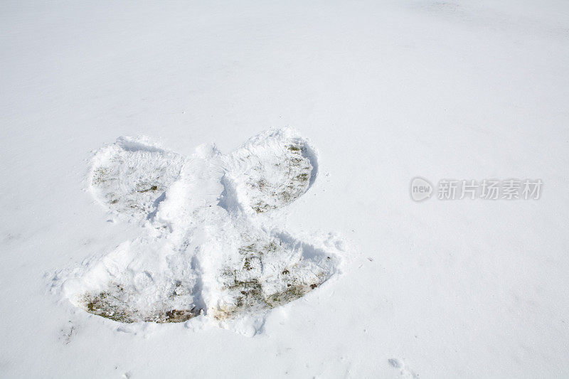 雪的天使