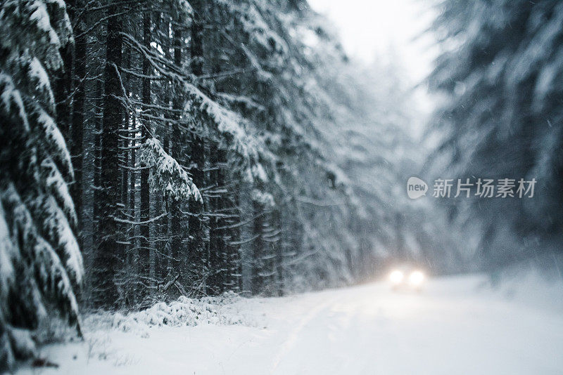 白雪覆盖的森林道路上的车辆