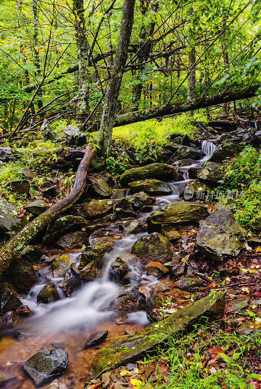 美丽的小溪在谢南多厄国家公园在弗吉尼亚州
