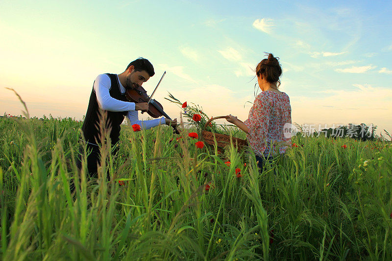 小提琴家和草地上的女孩