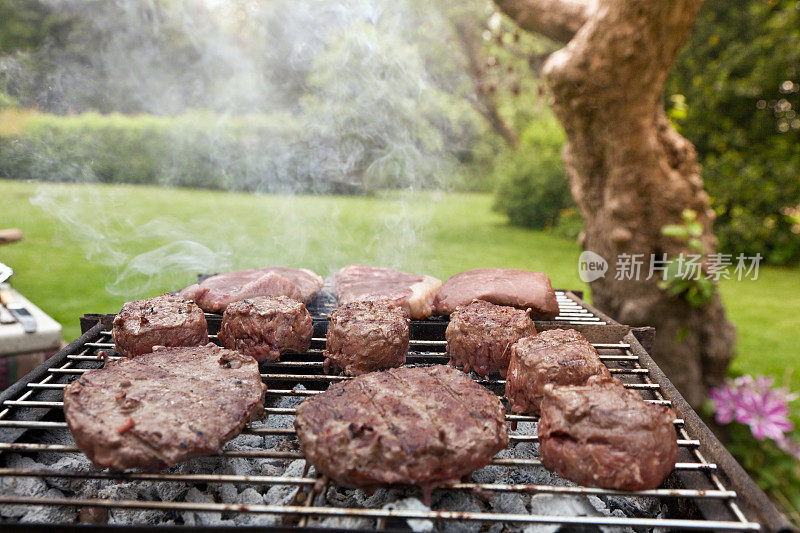 夏日烤肉英国花园烧烤