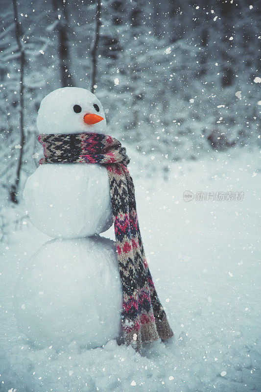 森林里的雪人