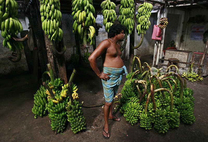斯里兰卡热带水果摊