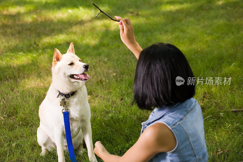 学习新技巧