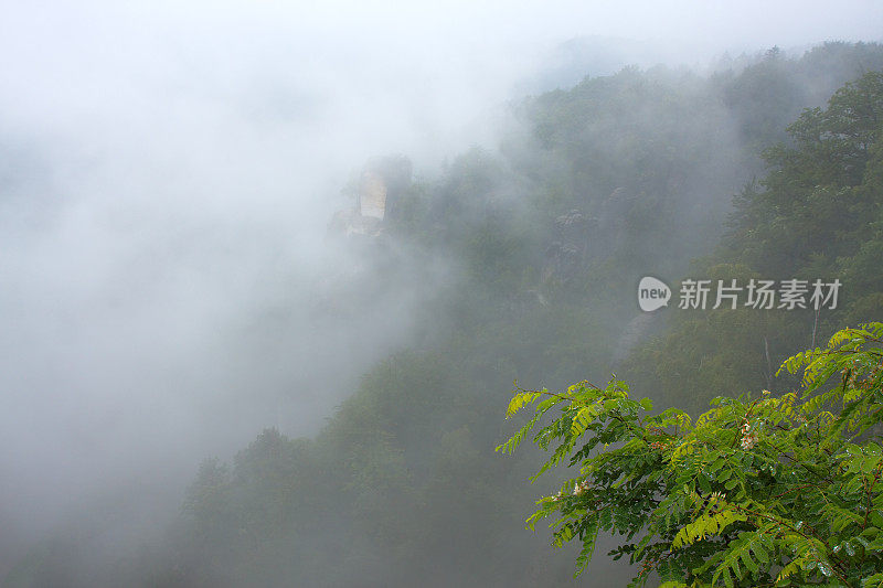 雾中的山景