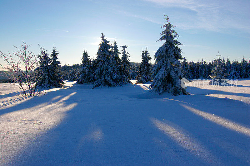 冬季景观第二十五章