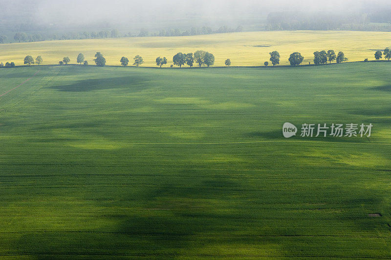 清晨农地鸟瞰图