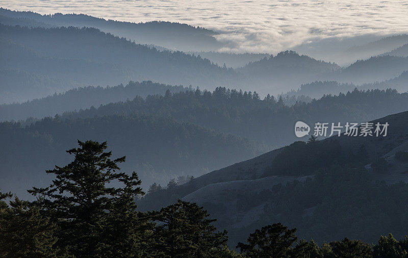 山丘上的雾层