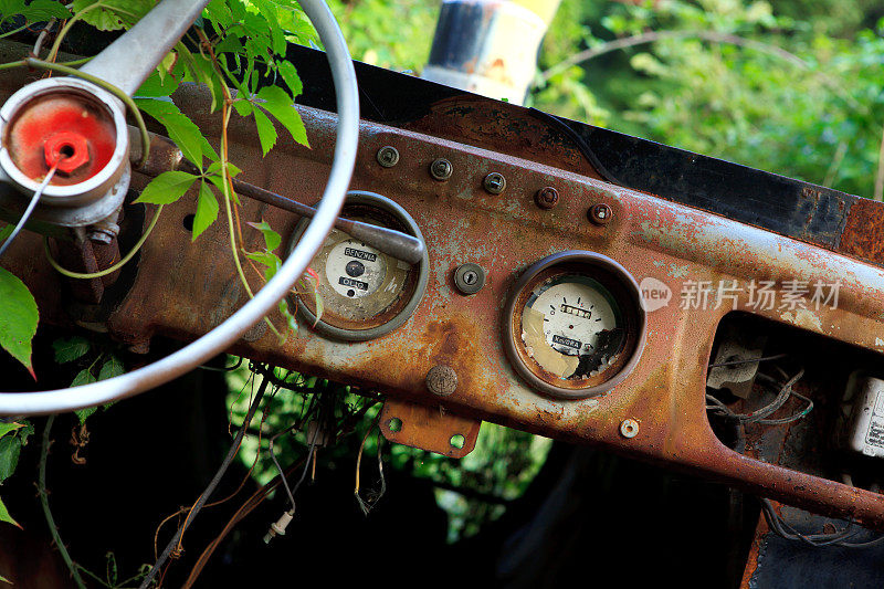 旧汽车内饰和森林