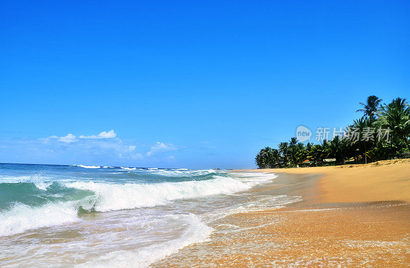 天堂般的异国沙滩，海浪和棕榈树在夏天