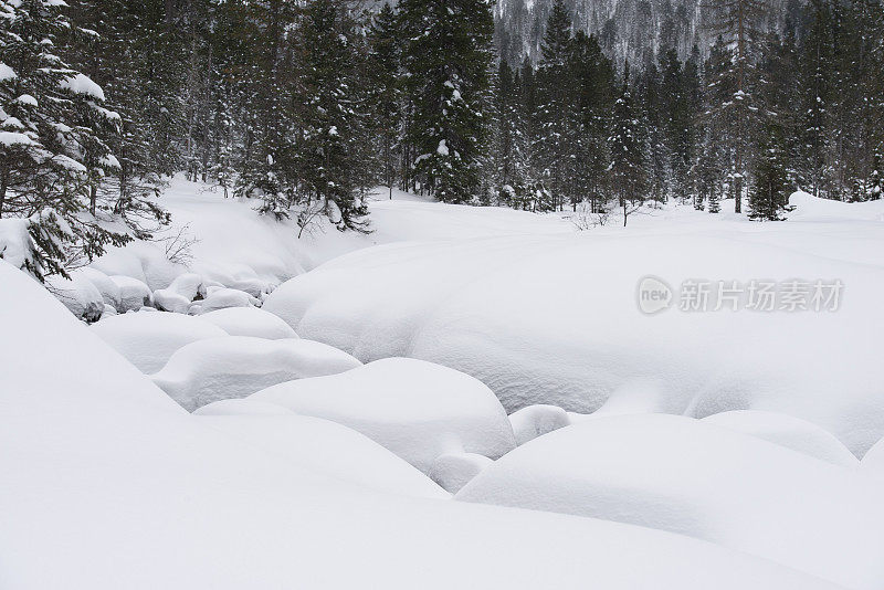 冬天森林中白雪覆盖的小溪。