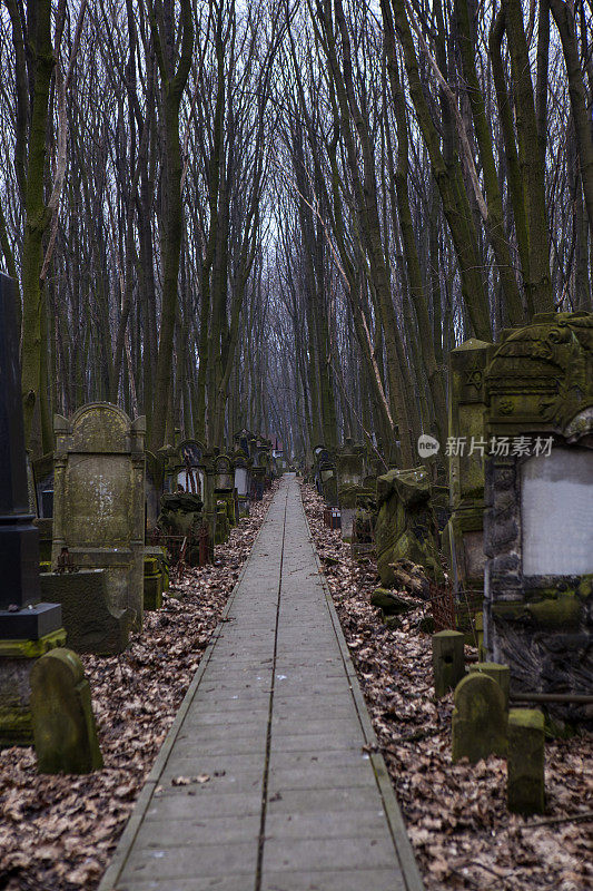 华沙犹太人墓地的秋天