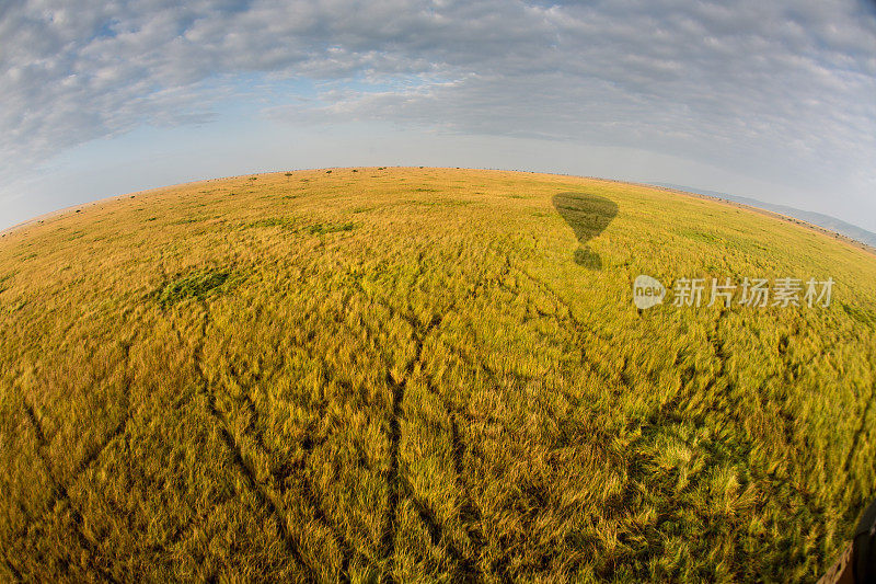 马赛马拉上空热气球的剪影