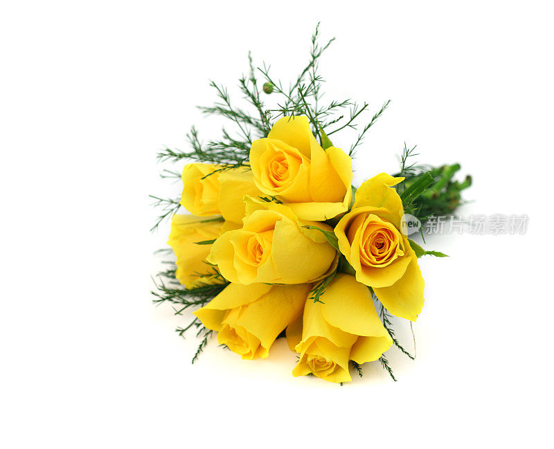 黄色玫瑰花束孤立在白色上。