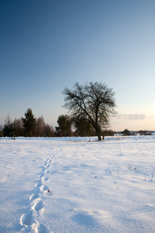 脚步在雪地