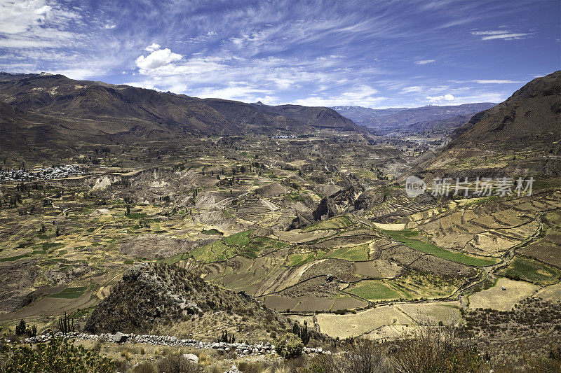 科尔卡峡谷，阿雷基帕，秘鲁