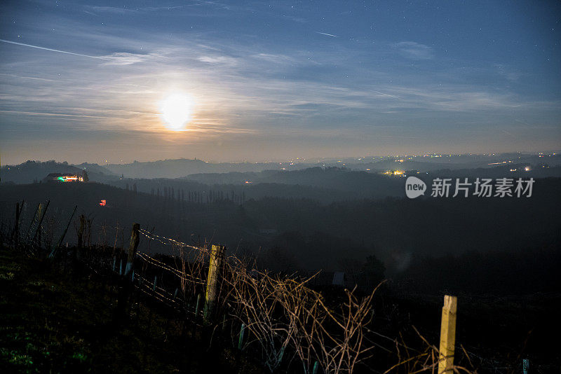 天空衬托下山丘上的葡萄园