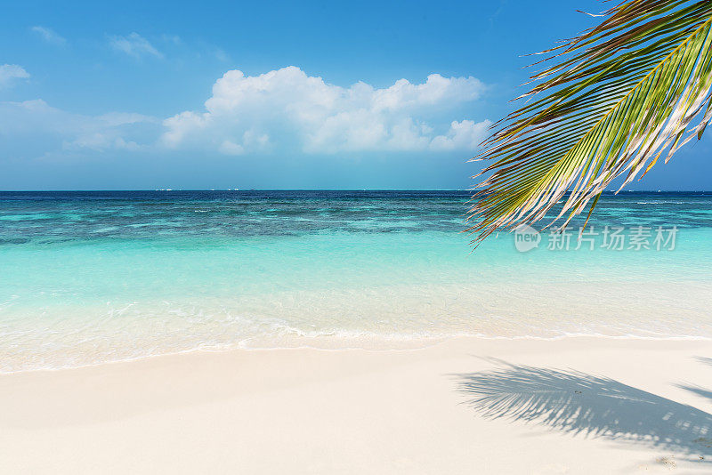 热带海滩自然背景